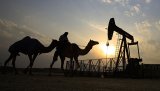 Росія та Кувейт створять робочу групу для співпраці в енергетиці