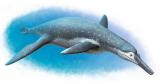 Палеонтологи нашли в России останки морского ящера размером с автобус