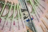 У НБУ бачать 2 загрози для падіння гривні