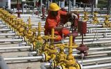 РФ та Індія обговорять можливість поставок російського газу