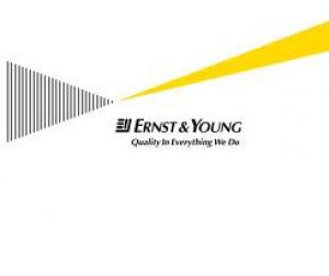 Ernst &amp; Young expects Ukraine&#039;s GDP growth of 1.1% in 2013
