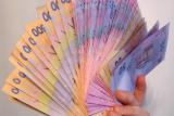 Расходы Пенсионного фонда Украины в 2013 г. составили 250,3 млрд. грн.