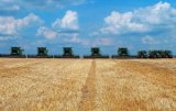 Агрохолдинги сконцентрували третину сільгоспземель в Україні