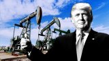 Трамп програє &laquo;битву&raquo; на ринку нафти &mdash; Bloomberg