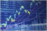 Foreign exchange market indicators as at January 20, 2017