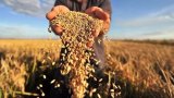 Аграрные ассоциации настаивают на увеличении дотаций