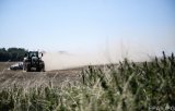 Украина нарастила аграрный экспорт на $165 млн с начала года
