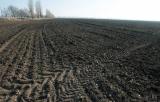 Прем'єр назвав умови для скасування мораторію на продаж земель