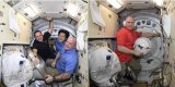 Корабль Союз МС-07 вернулся на Землю
