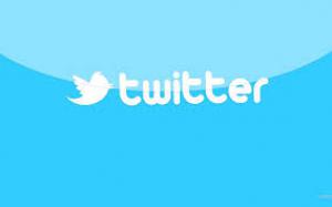 Twitter звітував про збитки за 2013р.