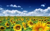 In June the Ukrainians will have additional two days off