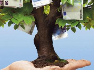 Comfortable conditions for foreign investment