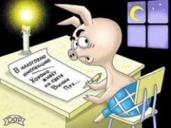 Mandatory details of tax reporting
