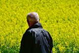 Стоимость земли в Украине может вырасти втрое после отмены моратория &mdash; Всемирный банк
