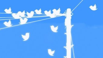 Twitter заблокировал сотни аккаунтов из-за вмешательства РФ в выборы США