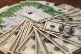 Foreign exchange market indicators as at April 25, 2016