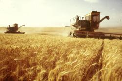 The Ministry of Agrarian Policy and Food calls for reduction of permits and business simplification