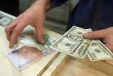Міжбанк відкрився доларом по 27,05