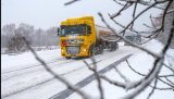 Украинские перевозчики начали активно открывать компании в Европе - эксперт