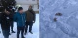 Правоохранители задержали на взятке сотрудника патрульной полиции Киевской области