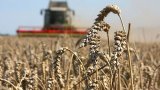 Минфин не выдает аграриям 400 млн евро выделенных Европой