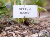Рада разрешила увеличивать стоимость аренды за землю