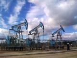 Нафта дорожчає на даних ОПЕК про скорочення її видобутку