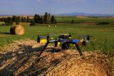 Інвестфонд Черновецького-молодшого купує агроактиви в Україні
