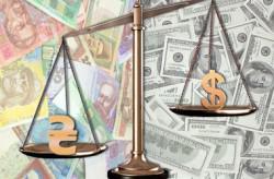 Передумови для девальвації гривні відсутні - НБУ