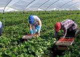 Робота в Польщі: ввели нові правила працевлаштування для українців