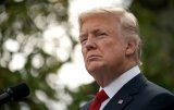 Трамп: Я очень умный человек