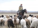 На 7 млрд тенге привлекли инвестиции в Ордабасинском районе ЮКО