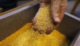 Американцы инвестируют 100 миллионов долларов в добычу золота в Украине