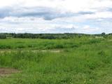 The tax on the land plots in ownership of minors and underage children