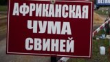 Незгасаючі спалахи АЧС відштовхують інвесторів - нардеп