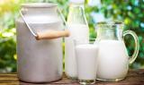 Зростання світових цін на продукти на український ринок не вплине