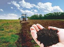 29 November is the deadline to pay land tax for October 2013