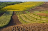 Украинцы теперь смогут обменивать земельные участки