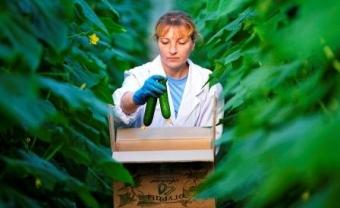 Россия подписала контракт на поставки сельхозпродукции в Китай