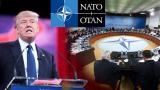 Трамп отметил низкие взносы Германии в НАТО