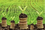 Минфин упростил налоговые правила для агробизнеса