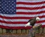 США назвали условие для начала диалога с КНДР