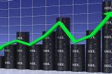 &laquo;Укртранснафта&raquo; виставляє 5 тисяч тонн нафти на торги