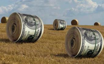 МВФ официально не подтвердил исключение земельной реформы из меморандума с Украиной - источник