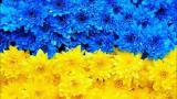 Національний бренд України значно зріс в ціні