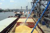 Експортні ціни на зерно знизились на 3 - 4%