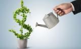Ukraine Wants to Issue &ldquo;Green&rdquo; Securities