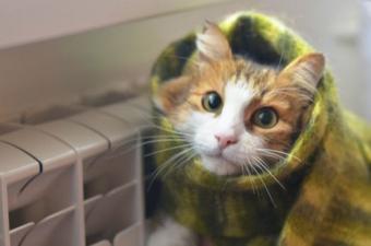 Оселі українців можуть залишитися без тепла