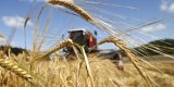 Цены на продукты в Украине догнали европейские: чего ждать осенью