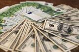 Foreign exchange market indicators as at July 7, 2016